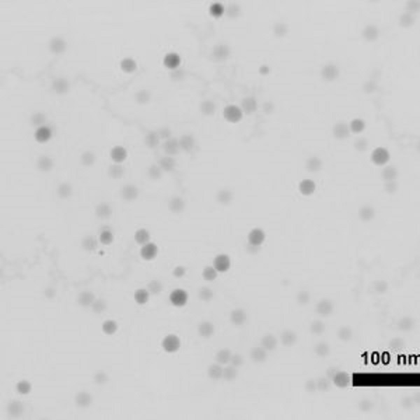 نانو کلوئید نقره 1000ppm، برند VistaExir