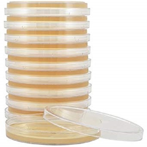 محیط کشت بایل اسکولین آگار کد 146321 مرک