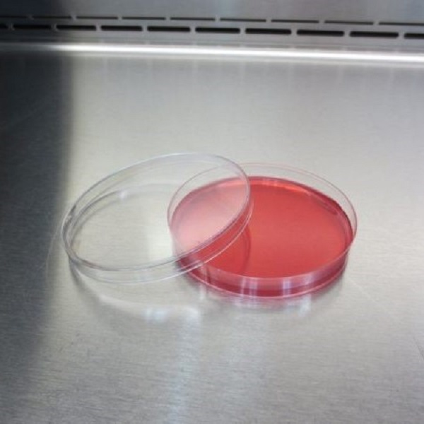 محیط کشت مانیتول سالت آگار for microbiology