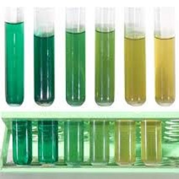 محیط کشت مولر کافمن کیولب