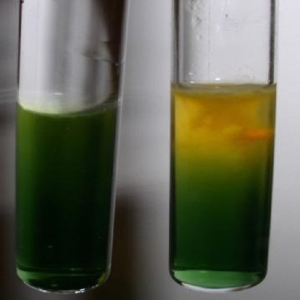 محیط کشت OF آگار کد 110282 مرک