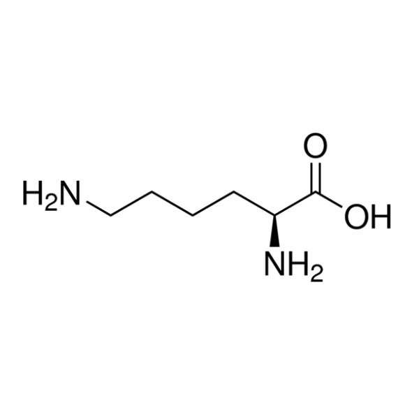 آمینو اسید ال لیزین 23128