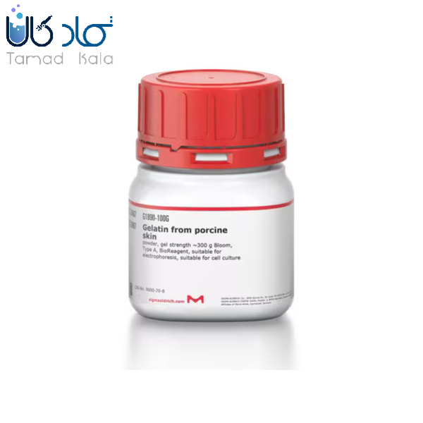 خرید ژلاتین تایپ Aکد G1890