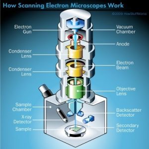 میکروسکوپ الکترونی روبشی (SEM)