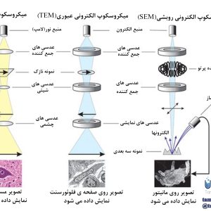 مقایسه میکروسکوپ نوری و الکترونی
