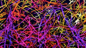 نسل جدید داربست‌های نانویی برای اتصال مجدد سلول‌های عصبی نخاع