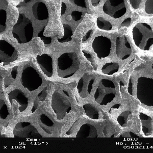 تصویر گرفته شده با میکروسکوپ SEM