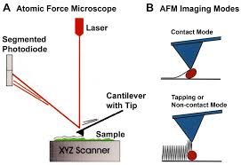 تصویر شماتیک اصول عملکرد AFM و حالت های کاری AFM