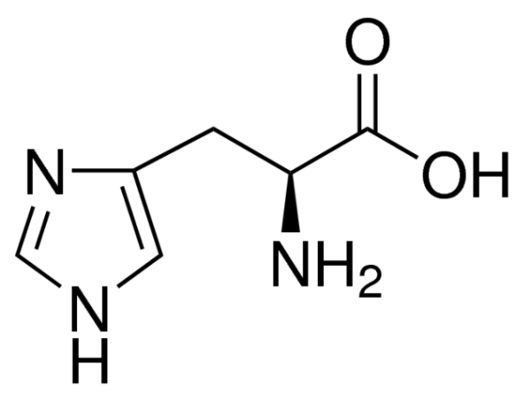 اسید آمینه ال هیستیدین