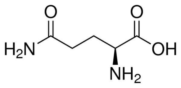 اسید آمینه ال-گلوتامین BioUltra