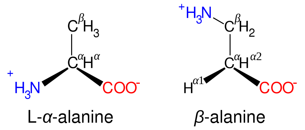 تفاوت آمینو اسید آلفا و بتا (یک مثال)