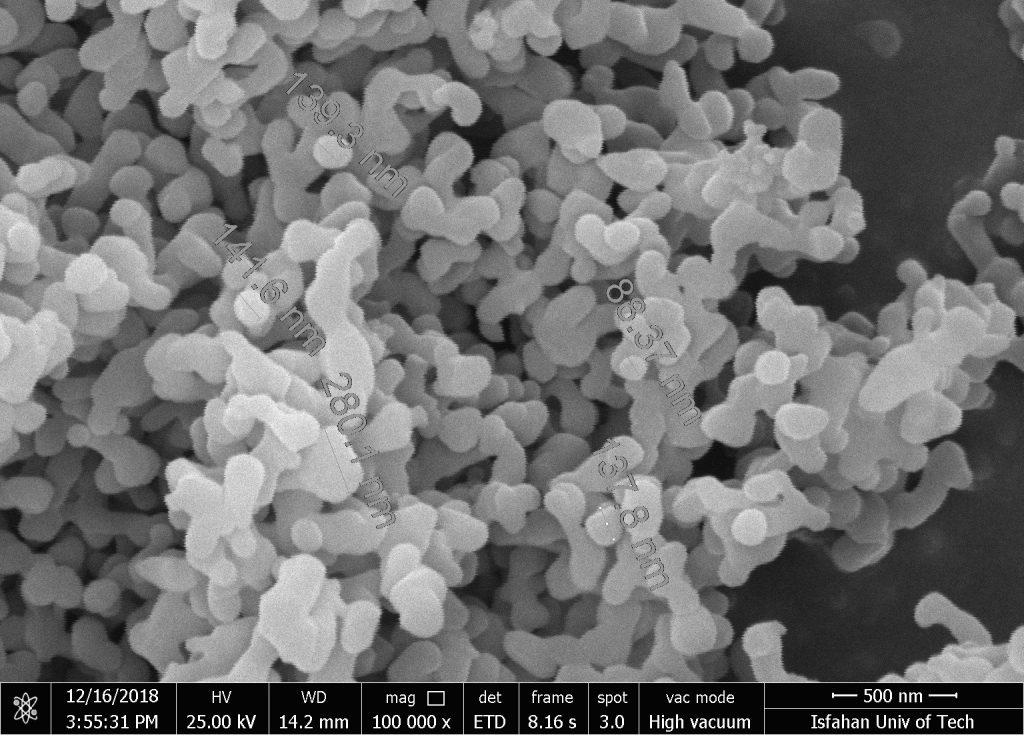 تصویر آنالیز SEM نانوپودر اکسید آلومینیوم (آلومینا) آلفا برند RASA