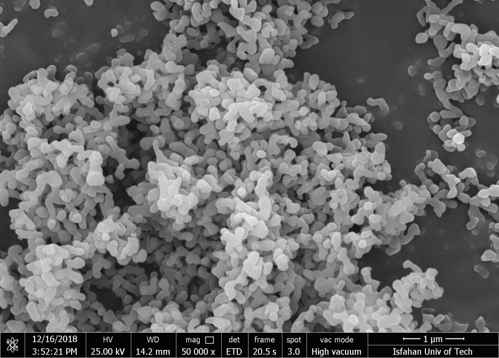 تصویر آنالیز SEM نانوپودر اکسید آلومینیوم (آلومینا) آلفا برند RASA