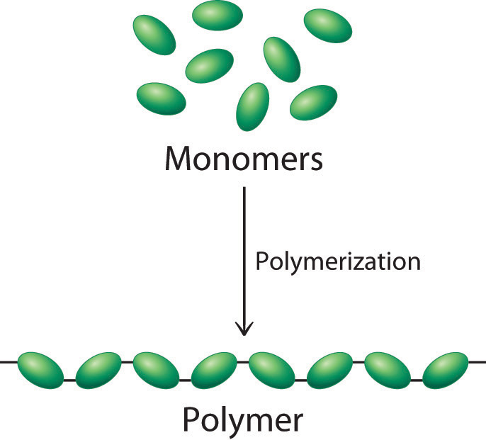 پلیمر و واحد سازنده