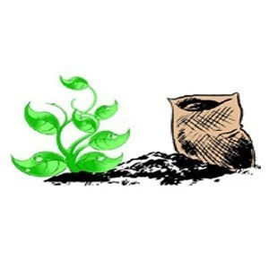 کاربرد اسید سولفوریک در کشاورزی (باغ پسته)