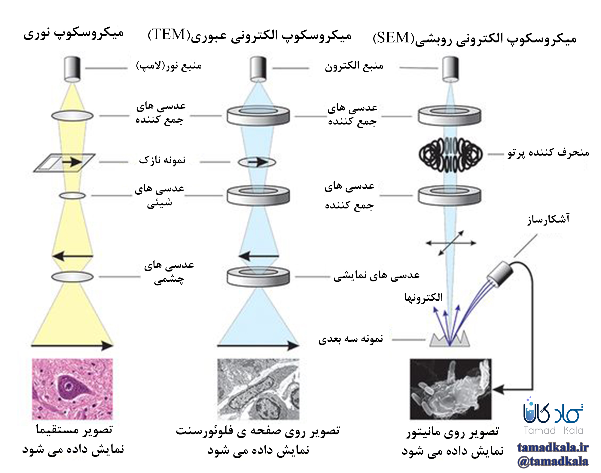 مقایسه میکروسکوپ نوری و الکترونی