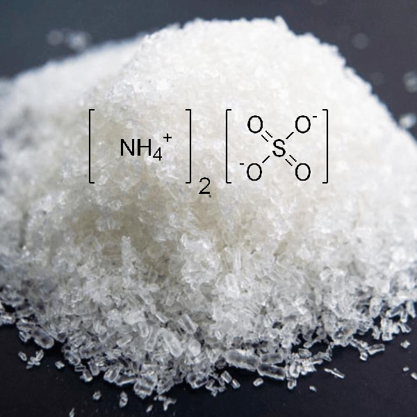 آمونیوم سولفات Lab دکتر مجللی