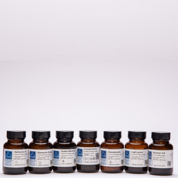 معرف گیمسا استین دکتر مجللی